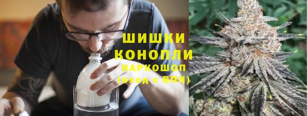 сатива Белоозёрский