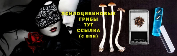 сатива Белоозёрский